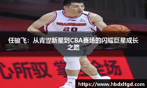 任骏飞：从青涩新星到CBA赛场的闪耀巨星成长之路